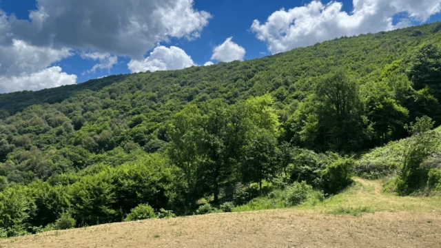 Pirceler’de3500m²Kupon FırsatArsa-3