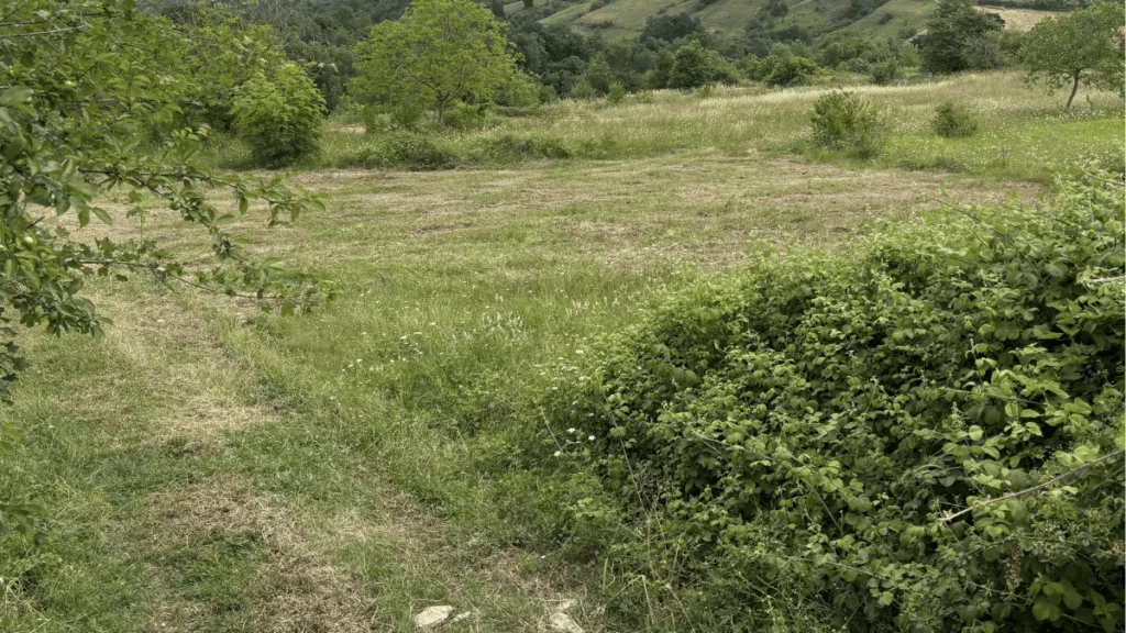 Pirceler’deYatırımlık596 m²_1