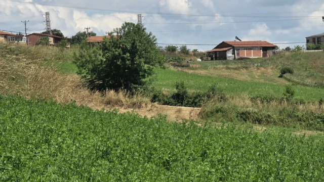 Sarışeyh’teElektrikAltyapılıKuponFırsatArazi-2